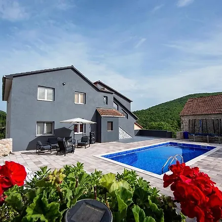 Vila Duka With Heated Private Pool, Makarska Region